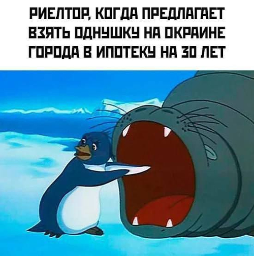 *Риелтор, когда предлагает взять однушку на окраине города в ипотеку на 30 лет*