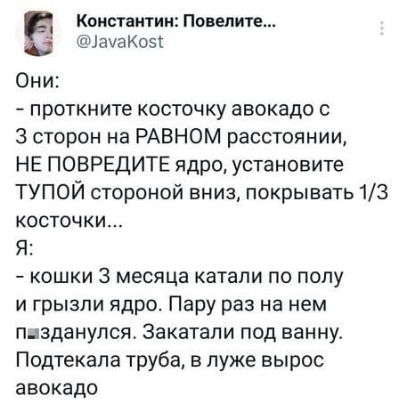 Они:
– Проткните косточку авокадо с 3 сторон на РАВНОМ расстоянии, НЕ ПОВРЕДИТЕ ядро, установите ТУПОЙ стороной вниз, покрывать 1/3 косточки...
Я:
– Кошки 3 месяца катали по полу и грызли ядро. Пару раз на нем п*зданулся. Закатали под ванну. Подтекала труба, в луже вырос авокадо.