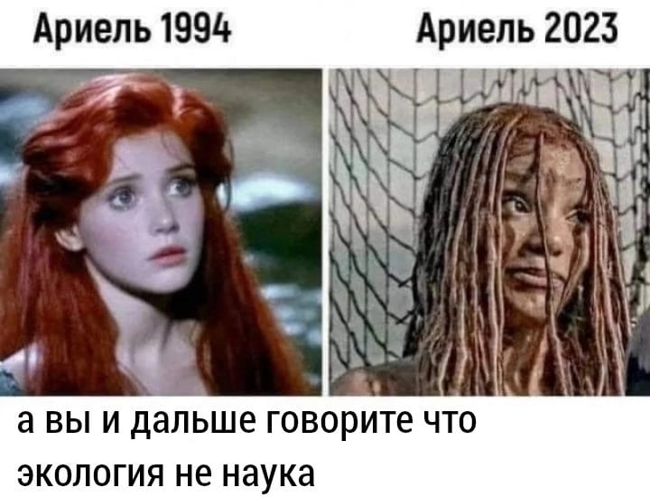 *Ариэль 1994 и Ариэль 2023*
– А вы и дальше говорите что экология не наука.