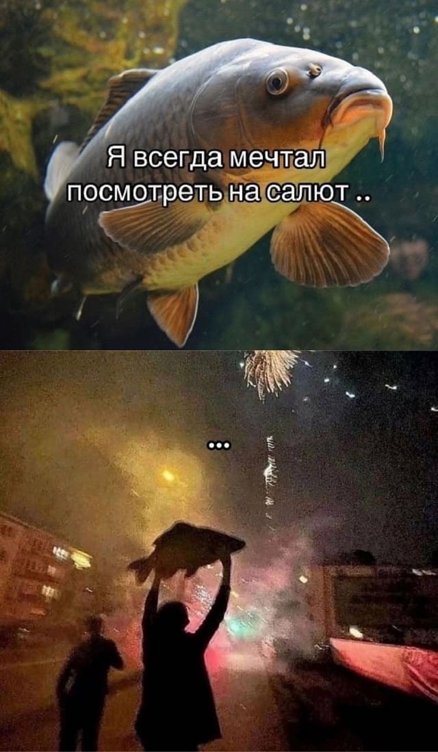 *Всегда хотел посмотреть салют*