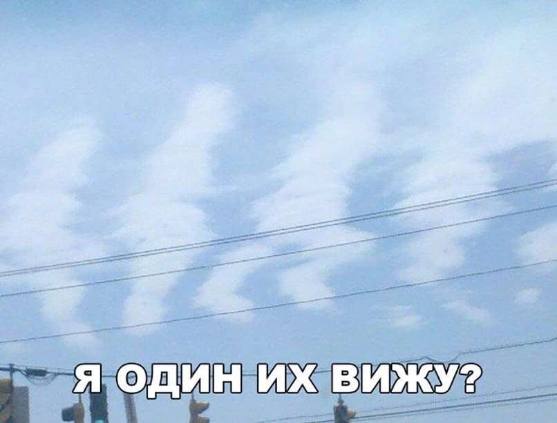 *Я один их вижу?*