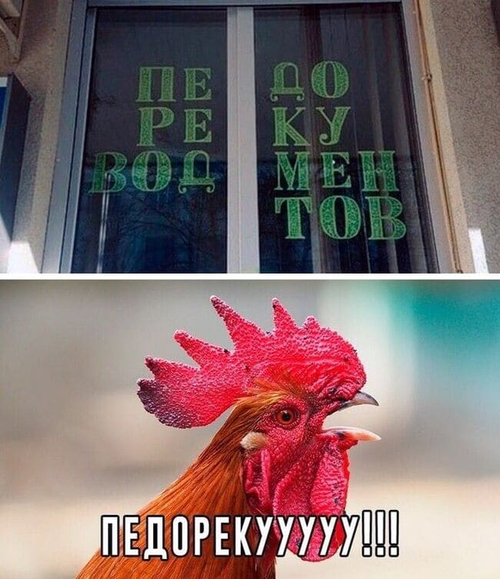 *Перевод документов*
*Педореку*