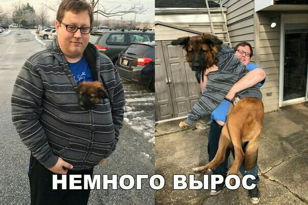 *Немного вырос*