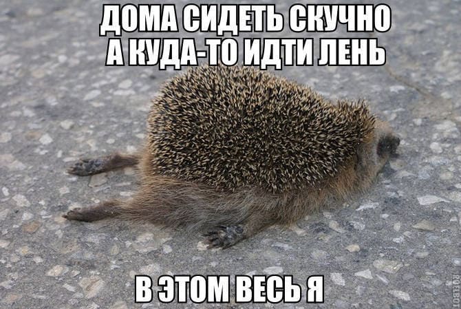 Дома сидеть скучно, а куда-то идти – лень. В этом весь я.