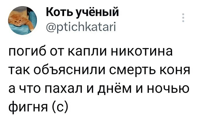 погиб от капли никотина
так объяснили смерть коня,
а что пахал и днём и ночью
фигня (с)