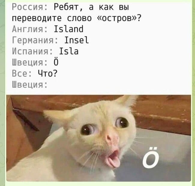 Россия: Ребят, а как вы переводите слово «остров»?
Англия: Island
Германия: Insel
Испания: Isla
Швеция: Ö
Все: Что?
Швеция: Ö