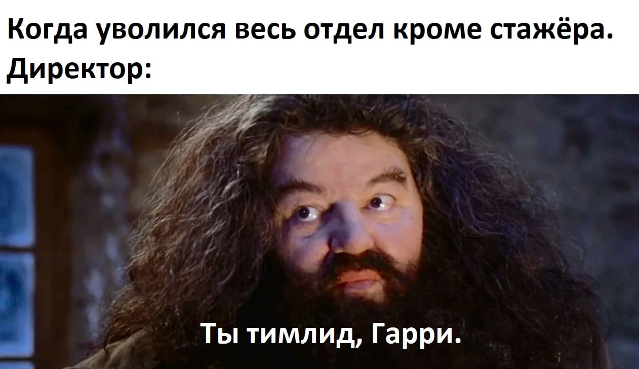 Когда уволился весь отдел кроме стажёра.
Директор:
– Ты тимлид, Гарри.