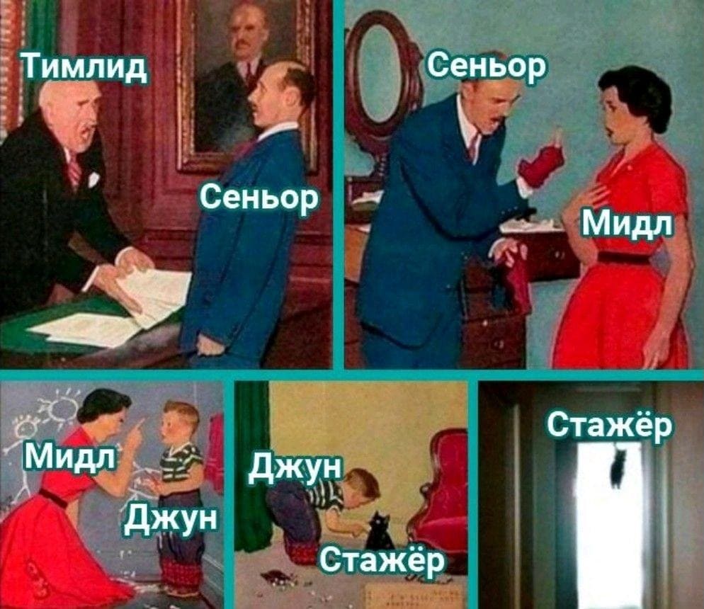 Тимлид –> Сеньор
Сеньор –> Мидл
Мидл –> Джун
Джун –> Стажёр
*Стажёр*