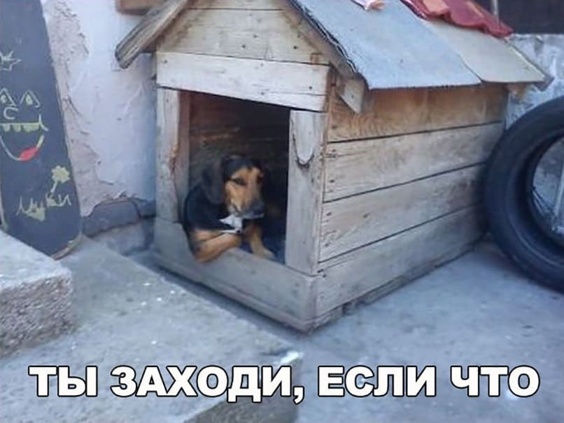 *Ты заходи, если что*