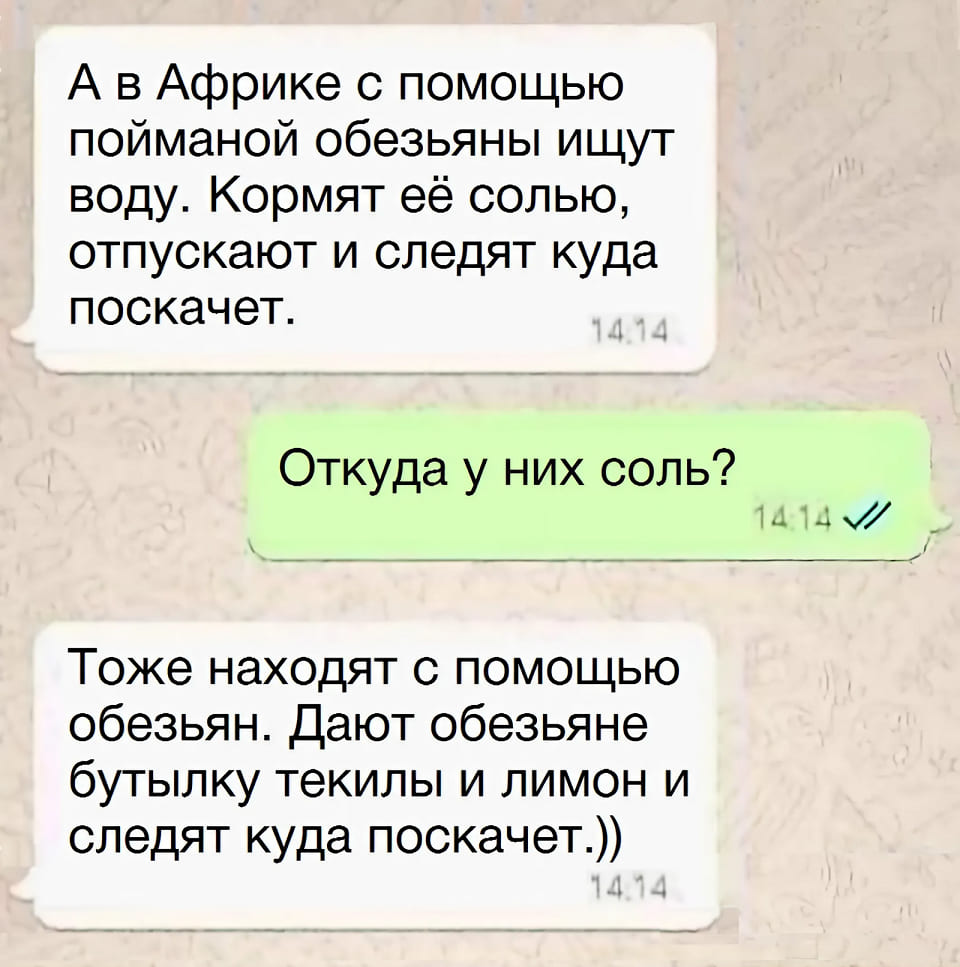 – А в Африке с помощью пойманной обезьяны ищут воду. Кормят её солью, отпускают и следят куда поскачет.
– Откуда у них соль?
– Тоже находят с помощью обезьян. Дают обезьяне бутылку текилы и лимон и следят куда поскачет.