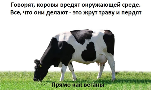 Говорят, коровы вредят окружающей среде.
Все, что они делают — это жрут траву и пердят.
Прям как веганы.