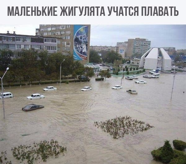 *Маленькие жигулята учатся плавать*