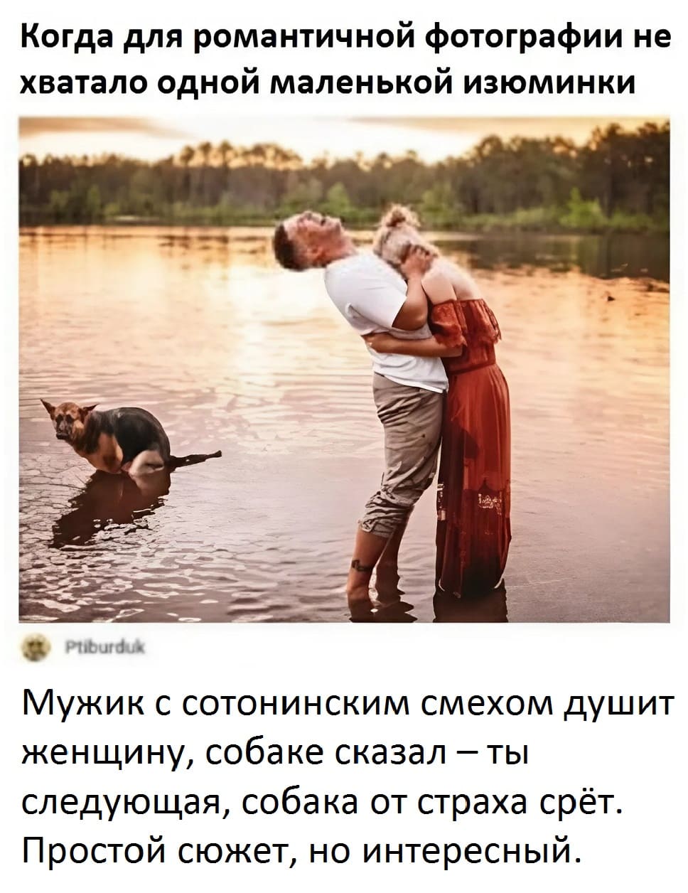 *Когда для романтичной фотографии не хватало одной маленькой изюминки*
Комментарий:
Мужик с сотонинским смехом душит женщину, собаке сказал – ты следующая, собака от страха срёт. Простой сюжет, но интересный.