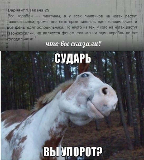 Вариант 1, задача 25.
Все корабли — пингвины, а у всех пингвинов на ногах растут газонокосилки, кроме того, некоторые пингвины едят холодильники; и все фены едят холодильники, но никто из тех, у кого на ногах растут газонокосилки, не является феном, так что ни один корабль не ест холодильники.