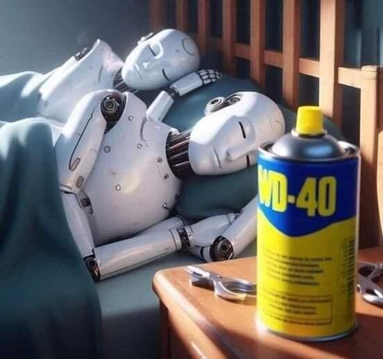 *Роботы в постели и WD-40*