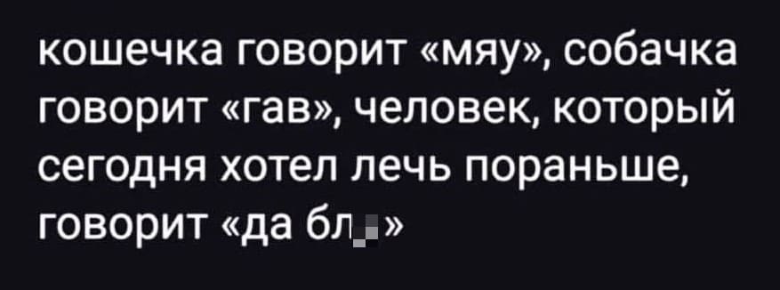 Кошечка говорит «мяу», собачка говорит «гав», человек, который сегодня хотел лечь пораньше, говорит «да бл*».