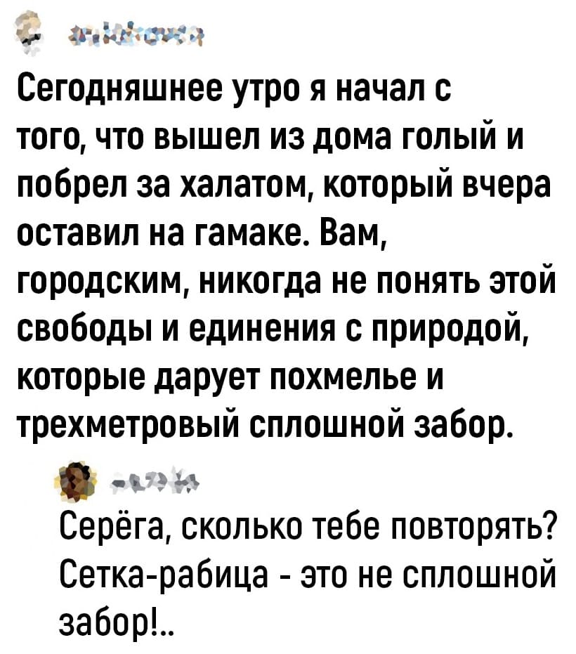 – Сегодняшнее утро я начал с того, что вышел из дома голый и побрел за халатом, который вчера оставил на гамаке. Вам, городским, никогда не понять этой свободы и единения с природой, которые дарует похмелье и трехметровый сплошной забор.
– Серёга, сколько тебе повторять? Сетка-рабица — это не сплошной забор!..