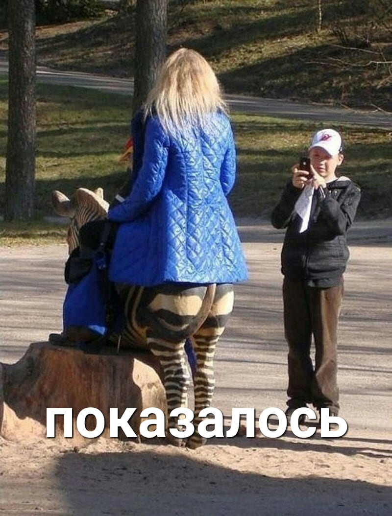 *Зеброзад*
