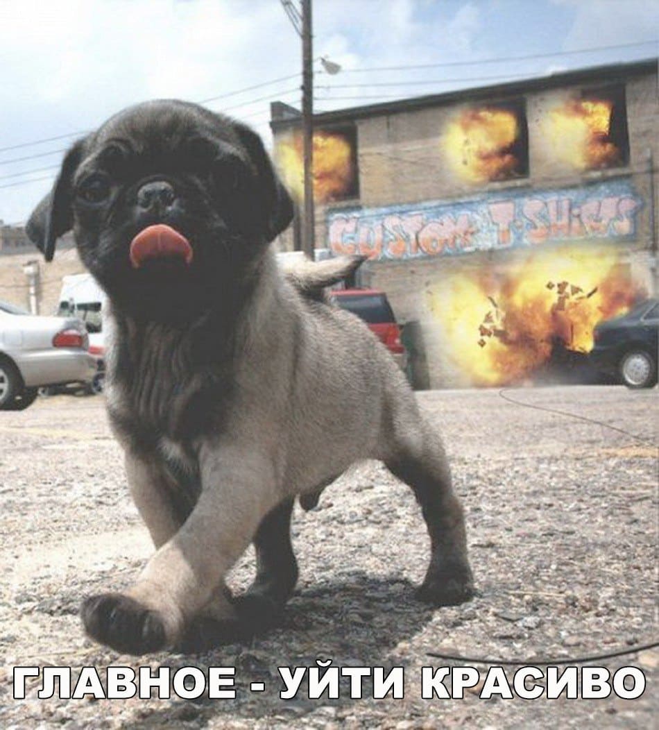 *Главное – уйти красиво*