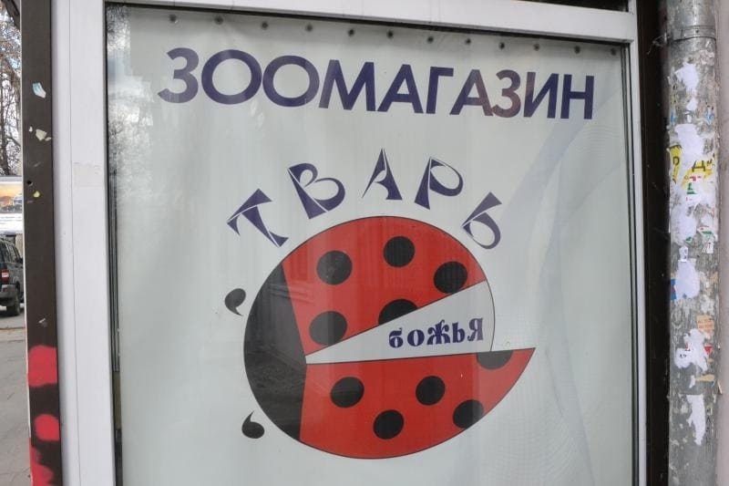 *Зоомагазин: «Тварь Божья»*