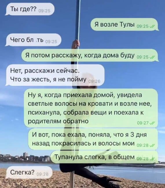 – Ты где?
– Я возле Тулы.
– Чегобл ть..
– Я потом расскажу, когда дома буду.
– Нет, расскажи сейчас. Что за жесть, я не пойму.
– Ну я, когда приехала домой, увидела светлые волосы на кровати и возле неё, психанула, собрала вещи и поехала к родителям обратно. И вот, пока ехала, поняла, что я 3 дня назад покрасилась и волосы мои. Тупанула слегка, в общем.
– Слегка...?