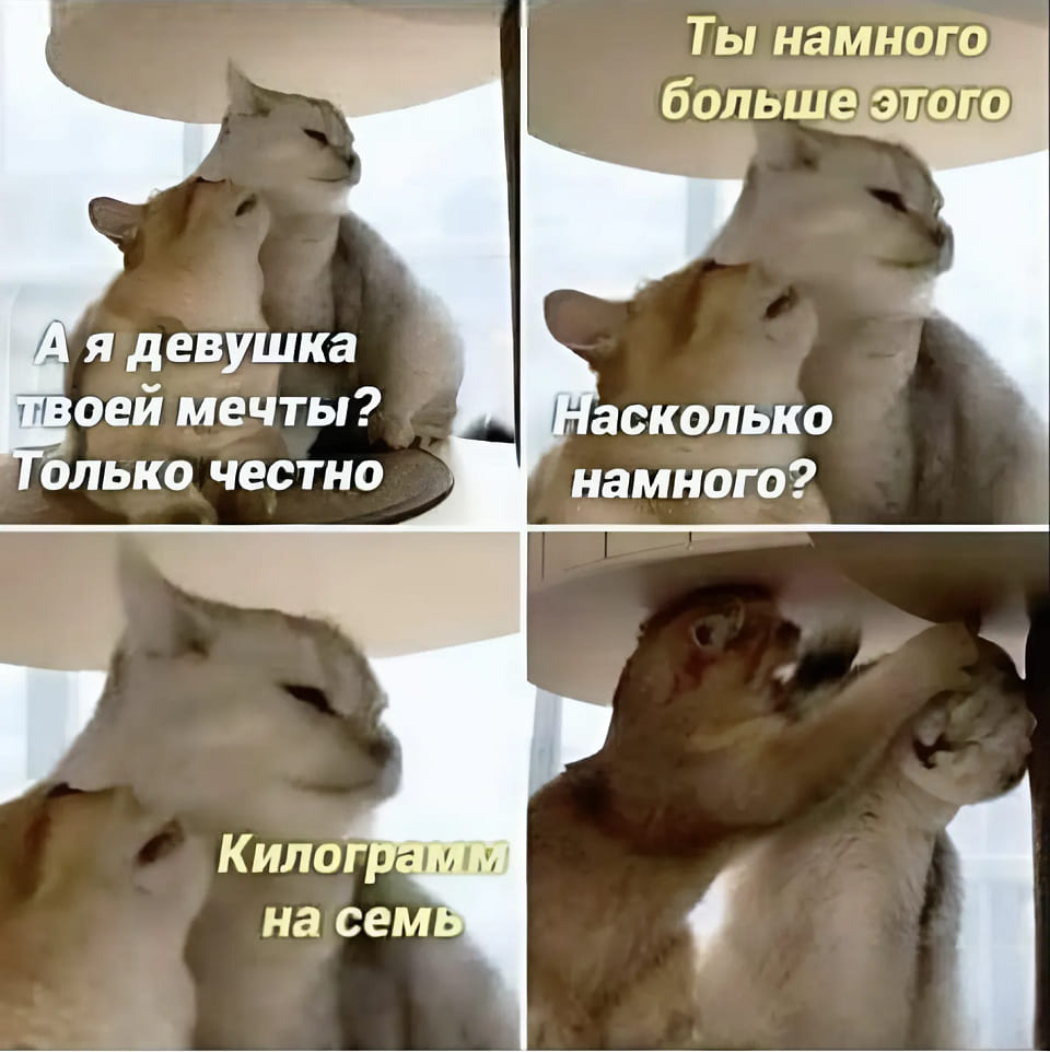 – А я девушка твоей мечты? Только честно.
– Ты намного больше этого.
– Насколько больше?
– Килограммов на семь...