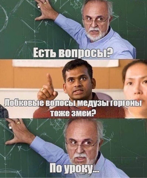 – Есть вопросы?
– Лобковые волосы медузы горгоны тоже змеи?
– По уроку...