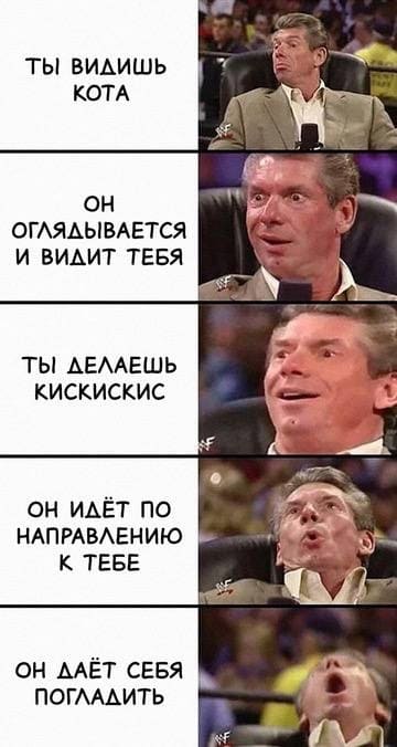 *ТЫ ВИДИШЬ КОТА*
*ОН ОГЛЯДЫВАЕТСЯ И ВИДИТ ТЕБЯ*
*ТЫ ДЕЛАЕШЬ КИСКИСКИС*
*ОН ИДЁТ ПО НАПРАВЛЕНИЮ К ТЕБЕ*
*ОН ДАЁТ СЕБЯ ПОГЛАДИТЬ*