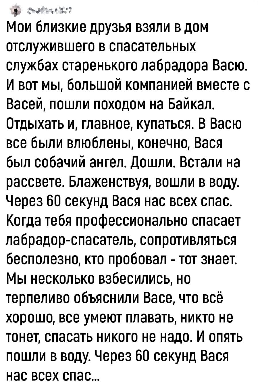 Мои близкие друзья взяли в дом отслужившего в спасательных службах старенького лабрадора Васю. И вот мы, большой компанией вместе с Васей, пошли походом на Байкал. Отдыхать и, главное, купаться. В Васю все были влюблены, конечно, Вася был собачий ангел. Дошли. Встали на рассвете. Блаженствуя, вошли в воду.
Через 60 секунд Вася нас всех спас. Когда тебя профессионально спасает лабрадор-спасатель, сопротивляться бесполезно, кто пробовал — тот знает. Мы несколько взбесились, но терпеливо объяснили Васе, что всё хорошо, все умеют плавать, никто не тонет, спасать никого не надо. И опять пошли в воду. Через 60 секунд Вася нас всех спас...