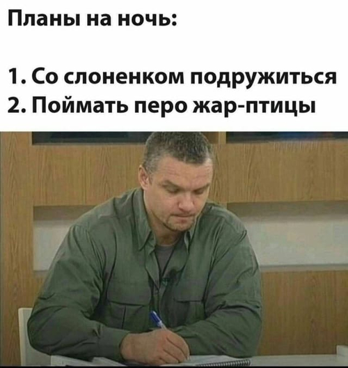 Планы на ночь:
1. Со слоненком подружиться;
2. Поймать перо жар-птицы.