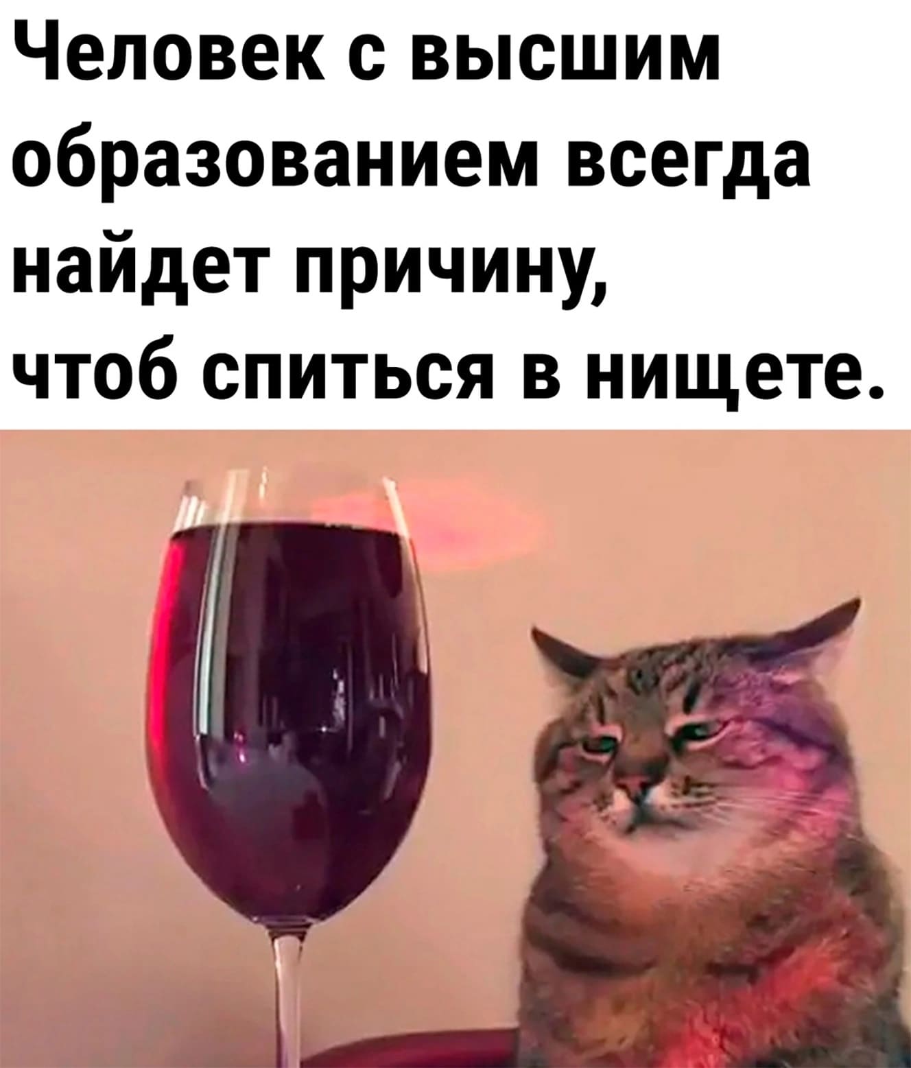 Человек с высшим образованием всегда найдет причину, чтоб спиться в нищете.