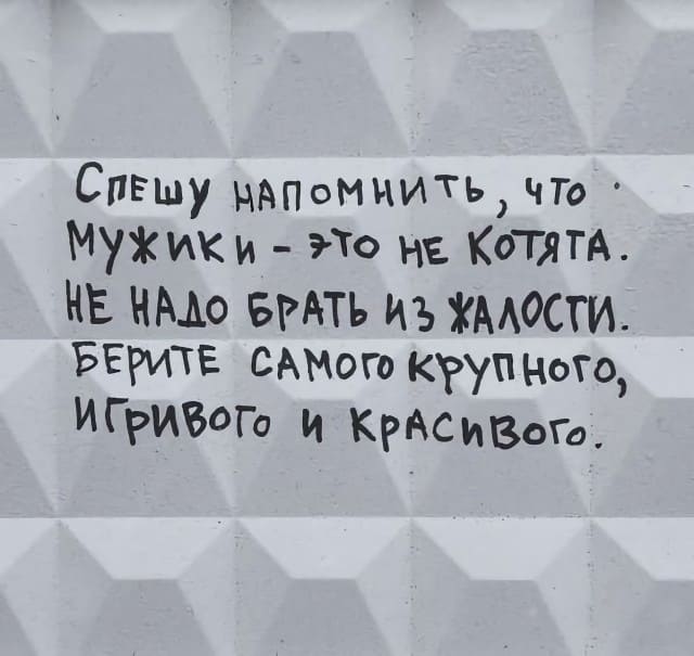 Спешу напомнить, что мужики — это не котята. Не надо брать из жалости. Берите самого крупного, игривого и красивого.