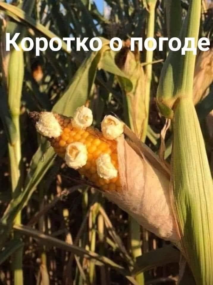 *Коротко о погоде*