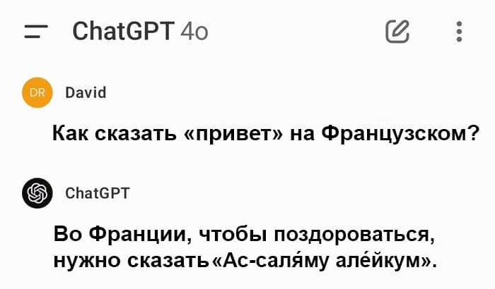 – Как сказать «привет» на Французском?
– Во Франции, чтобы поздороваться, нужно сказать «Ас-саляму алёйкум».