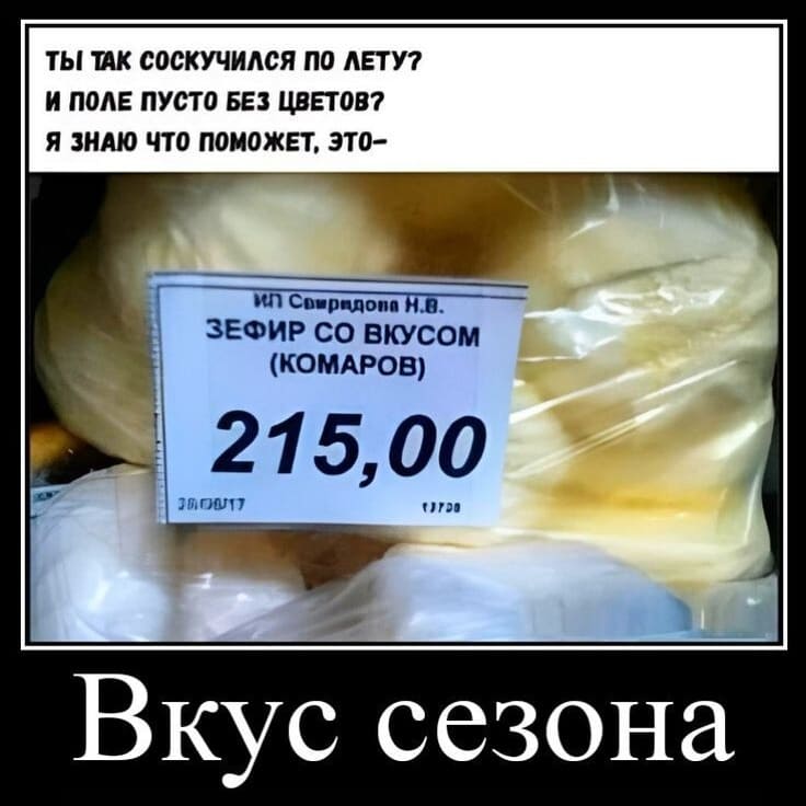 ТЫ ТАК СОСКУЧИЛСЯ ПО ЛЕТУ?
И ПОЛЕ ПУСТО БЕЗ ЦВЕТОВ?
Я ЗНАЮ ЧТО ПОМОЖЕТ, ЭТО —
ЗЕФИР СО ВКУСОМ (КОМАРОВ)