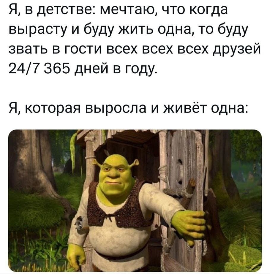 Я, в детстве: мечтаю, что когда вырасту и буду жить одна, то буду звать в гости всех всех всех друзей 24/7 365 дней в году.
*Я, которая выросла и живёт одна*