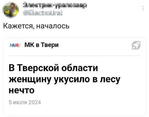 *В Тверской области женщину укусило в лесу нечто*