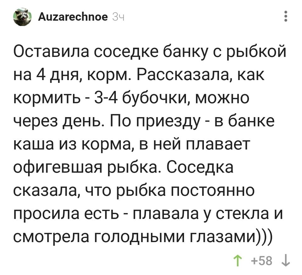 Оставила соседке банку с рыбкой на 4 дня, корм. Рассказала, как кормить — 3-4 бубочки, можно через день. По приезду — в банке каша из корма, в ней плавает офигевшая рыбка. Соседка сказала, что рыбка постоянно просила есть — плавала у стекла и смотрела голодными глазами.