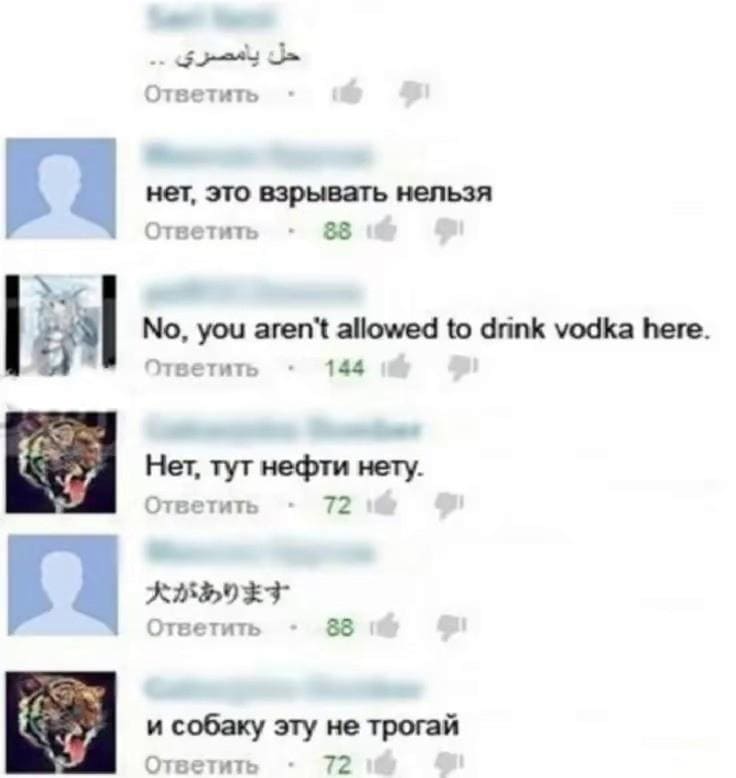 – *Арабская вязь*
– Нет, это взрывать нельзя.
– *No. you aren't allowed to drink vodka here.*
– Нет, тут нефти нету.
– *Китайские иероглифы*
– И собаку эту не трогай.