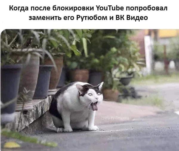 *Когда после блокировки YouTube попробовал заменить его Рутюбом и ВК Видео*