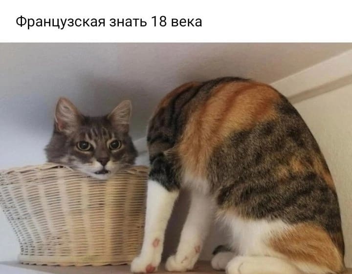 *Французская знать 18 века*