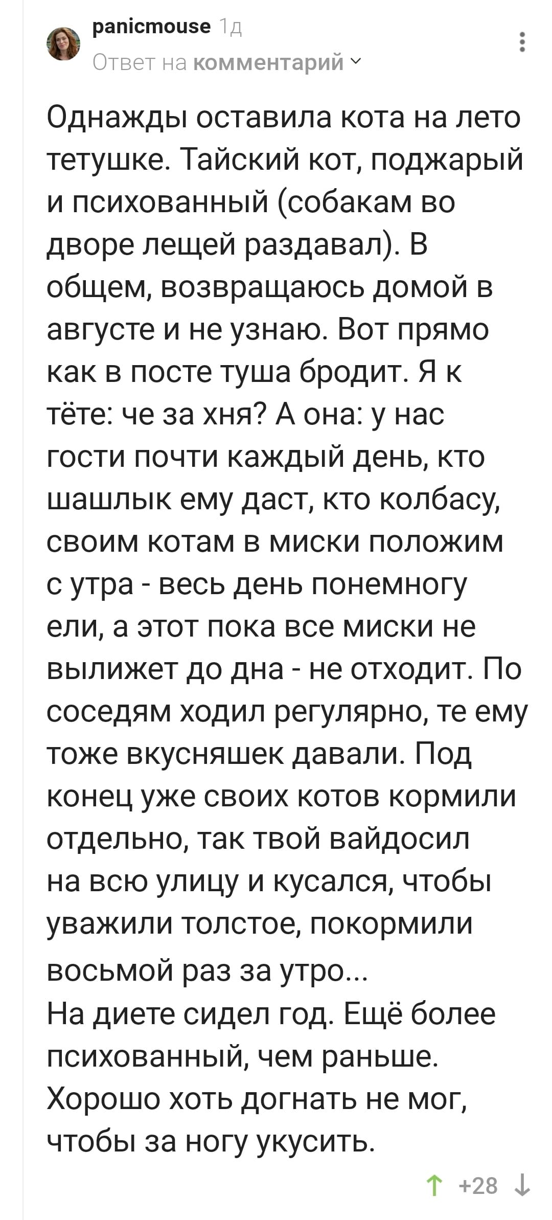 Однажды оставила кота на лето тетушке. Тайский кот, поджарый и психованный (собакам во дворе лещей раздавал). В общем, возвращаюсь домой в августе и не узнаю. Вот прямо как в посте туша бродит. Я к тёте: че за хня? А она: у нас гости почти каждый день, кто шашлык ему даст, кто колбасу, своим котам в миски положим с утра — весь день понемногу ели, а этот пока все миски не вылижет до дна — не отходит. По соседям ходил регулярно, те ему тоже вкусняшек давали. Под конец уже своих котов кормили отдельно, так твой вайдосил на всю улицу и кусался, чтобы уважили толстое, покормили восьмой раз за утро... На диете сидел год. Ещё более психованный, чем раньше. Хорошо хоть догнать не мог, чтобы за ногу укусить.