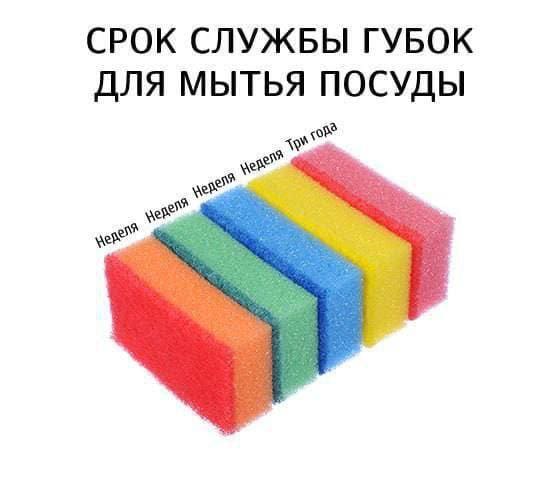 *СРОК СЛУЖБЫ ГУБОК ДЛЯ МЫТЬЯ ПОСУДЫ*