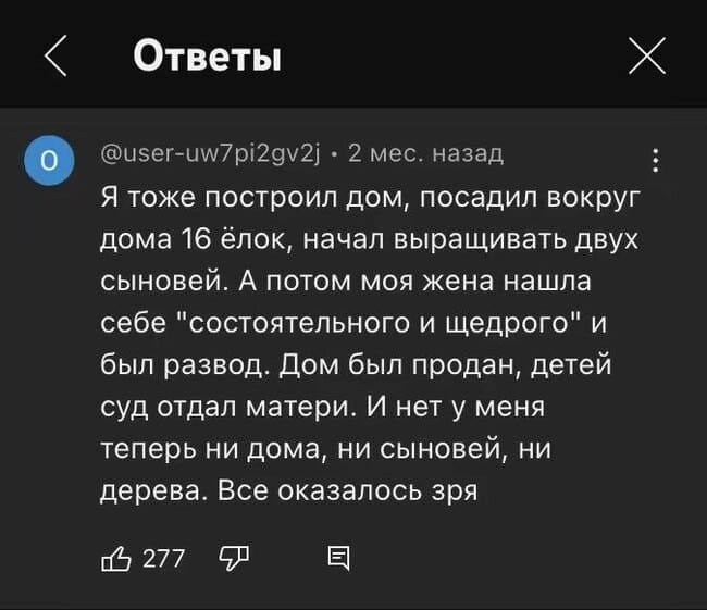 Я тоже построил дом, посадил вокруг дома 16 ёлок, начал выращивать двух сыновей. А потом моя жена нашла себе «состоятельного и щедрого» и был развод. Дом был продан, детей суд отдал матери. И нет у меня теперь ни дома, ни сыновей, ни дерева. Всё оказалось зря...