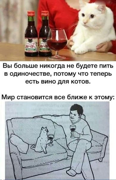 Вы больше никогда не будете пить в одиночестве, потому что теперь есть вино для котов.
*Мир становится всё ближе к этому*