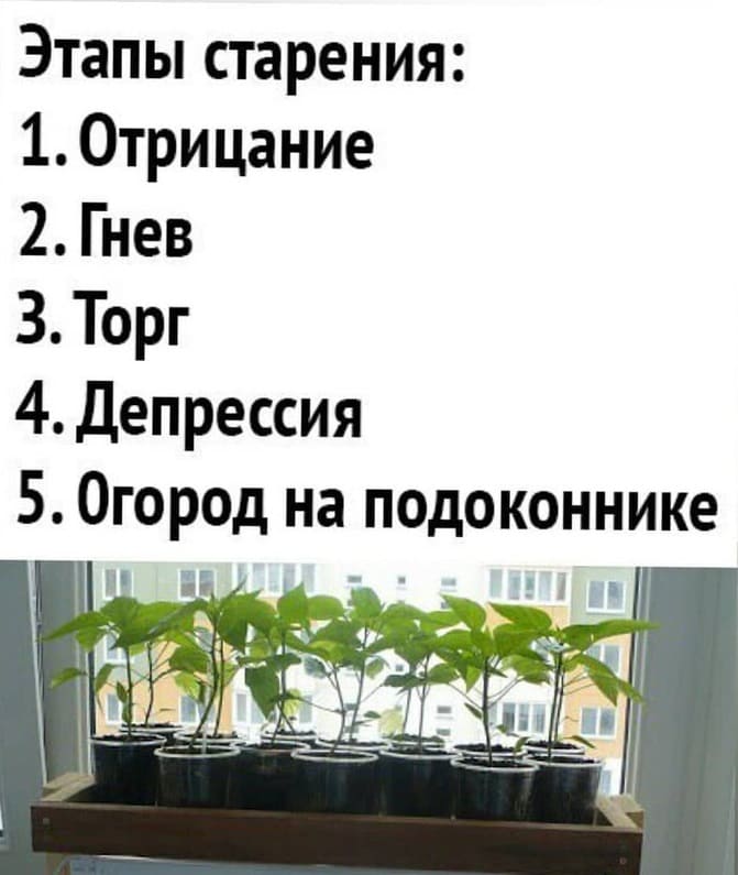 Этапы старения:
1. Отрицание;
2. Гнев;
3. Торг;
4. Депрессия;
5. Огород на подоконнике.