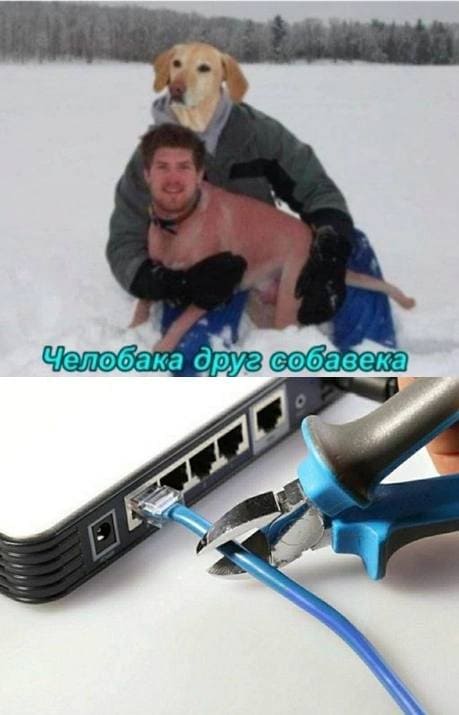 *Челобака друг собавека*