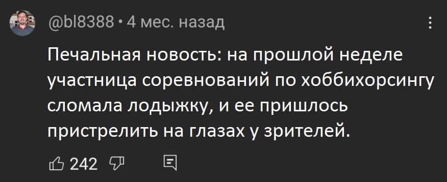 Печальная новость: на прошлой неделе участница соревнований по хоббихорсингу сломала лодыжку, и её пришлось пристрелить на глазах у зрителей.