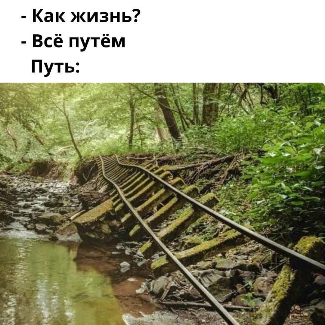 – Как жизнь?
– Всё путём.
*Путь*