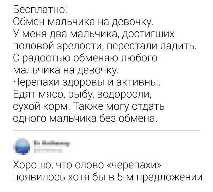 – Бесплатно! Обмен мальчика на девочку. У меня два мальчика, достигших половой зрелости, перестали ладить. С радостью обменяю любого мальчика на девочку. Черепахи здоровы и активны. Едят мясо, рыбу, водоросли, сухой корм. Также могу отдать одного мальчика без обмена.
– Хорошо, что слово «черепахи» появилось хотя бы в 5-м предложении.